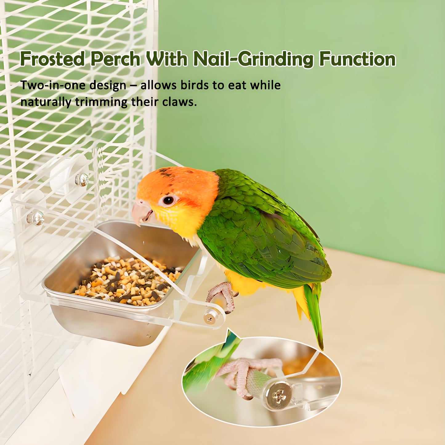 Rywell Acrylic No-Mess Bird Feeder with Perch – Automatic Seed Catcher for Parrots & Parakeets