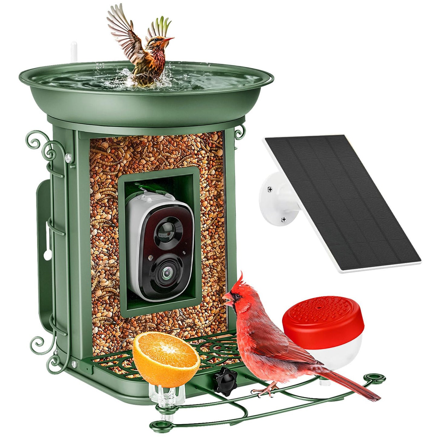 Rywell AI-Powered Solar Smart Bird Feeder – Metal Cage, Portable, Wind & Rain Resistant, with bird bath