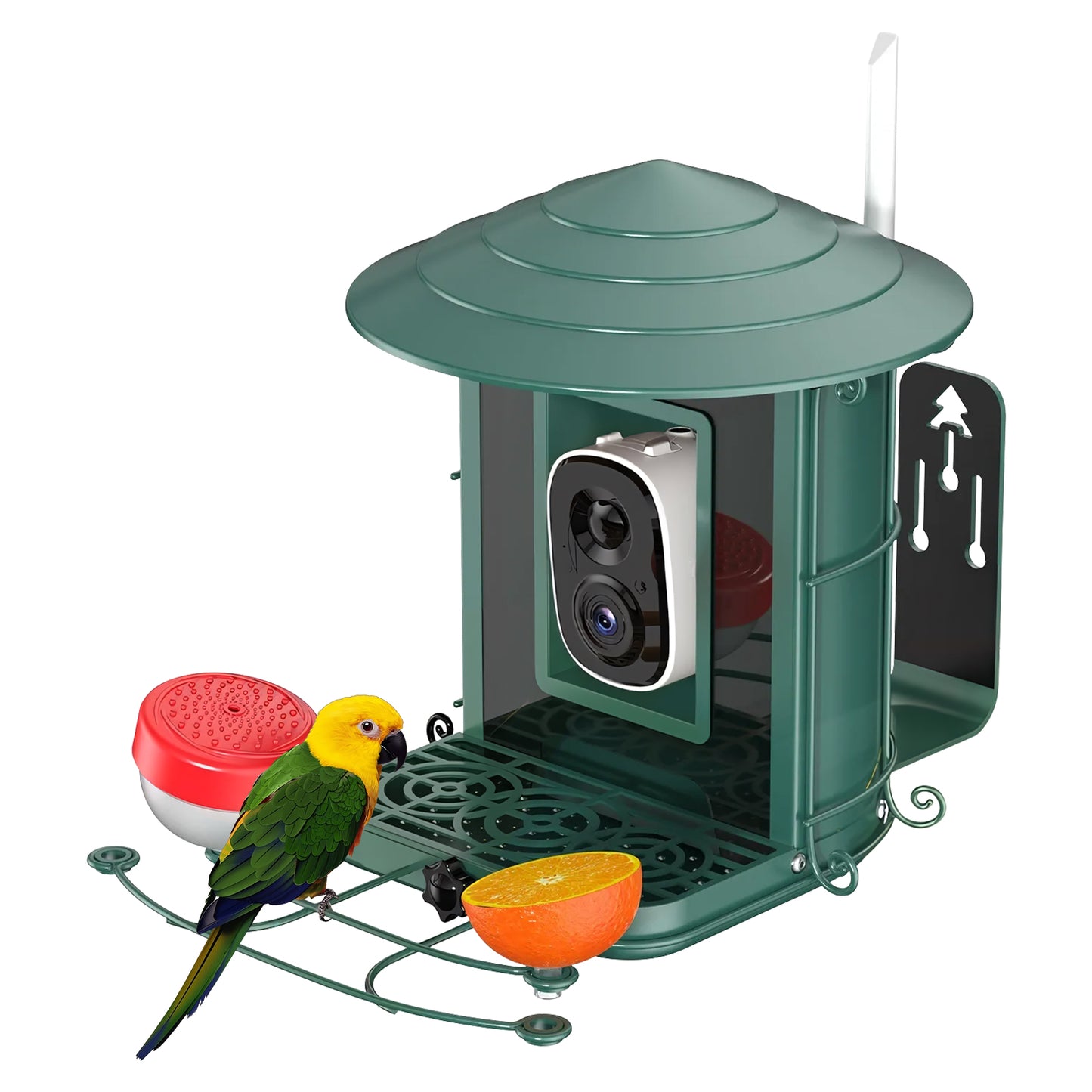 Rywell AI-Powered Solar Smart Bird Feeder – Metal Cage, Portable, Wind & Rain Resistant