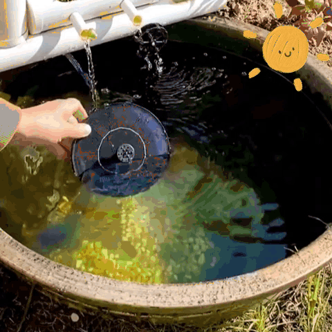 Rywell Solar-Powered Birdbath Fountain