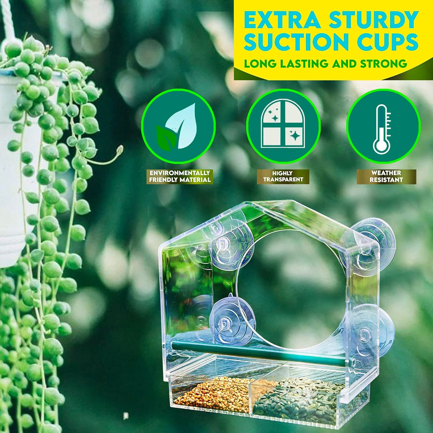 Rywell Clear Acrylic Window Bird Feeder with Strong Suction Cups, Removable Seed Tray & Drainage Holes for Wild Bird Watching