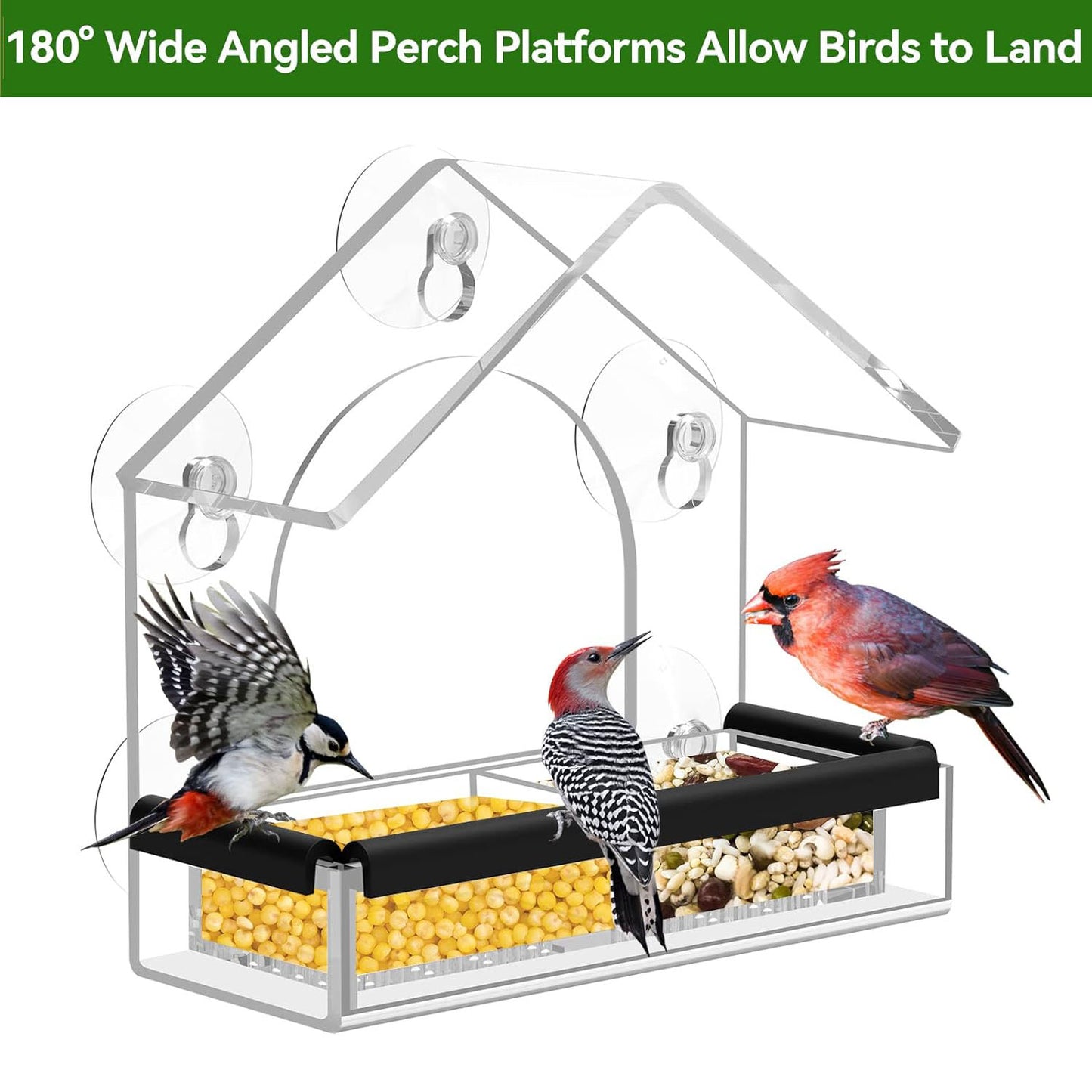 Rywell Clear Acrylic Window Bird Feeder with Strong Suction Cups, Removable Seed Tray & Drainage Holes for Wild Bird Watching