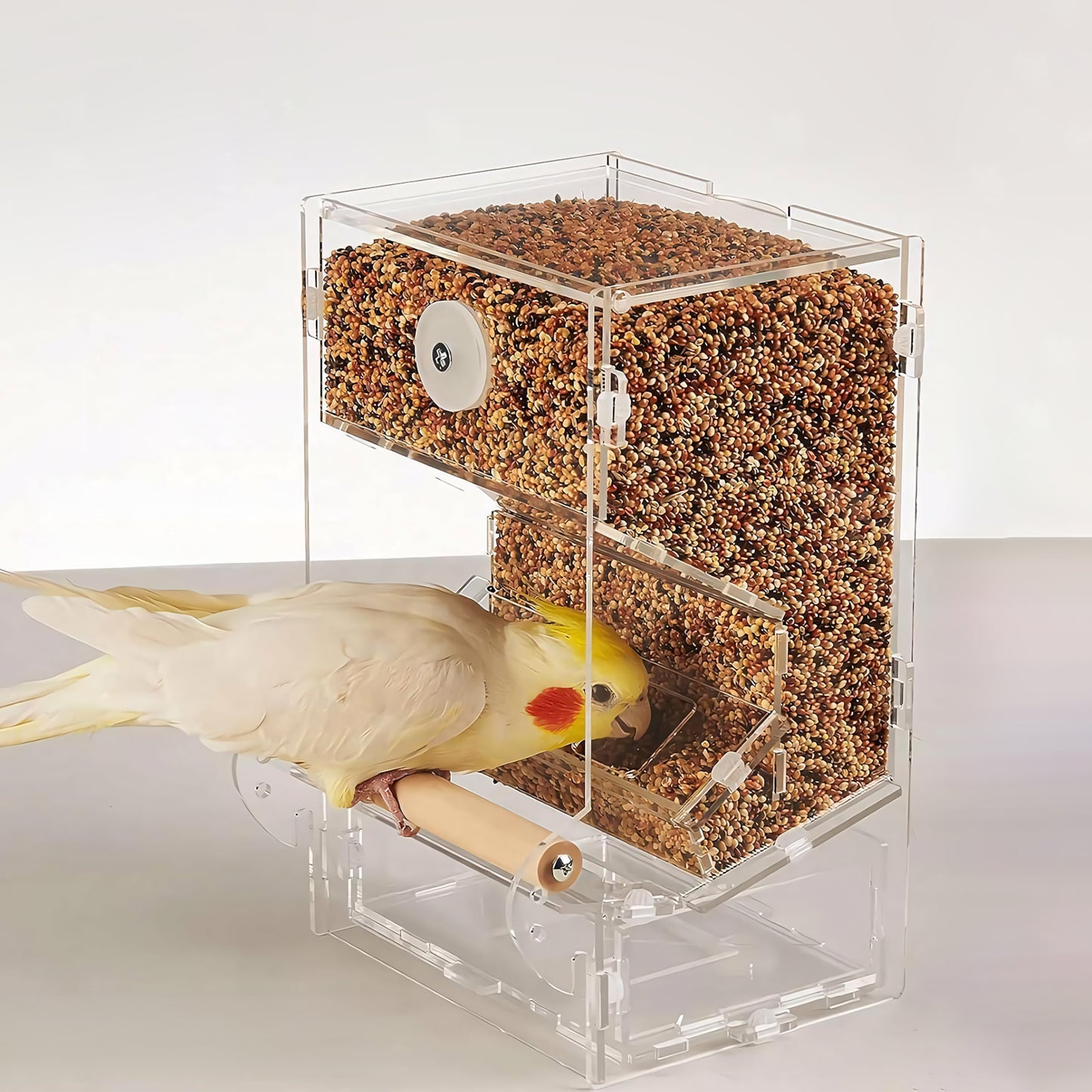 Rywell Parrot Bird Feeder Box – Spill-Proof Automatic Hanging Seed Dispenser for Birds