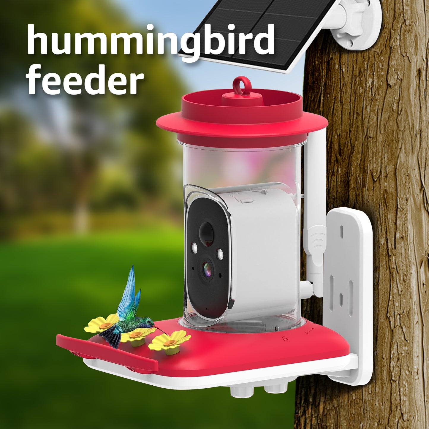 Rywell Smart Solar Hummingbird Feeder with 5MP Camera & AI Bird Detection