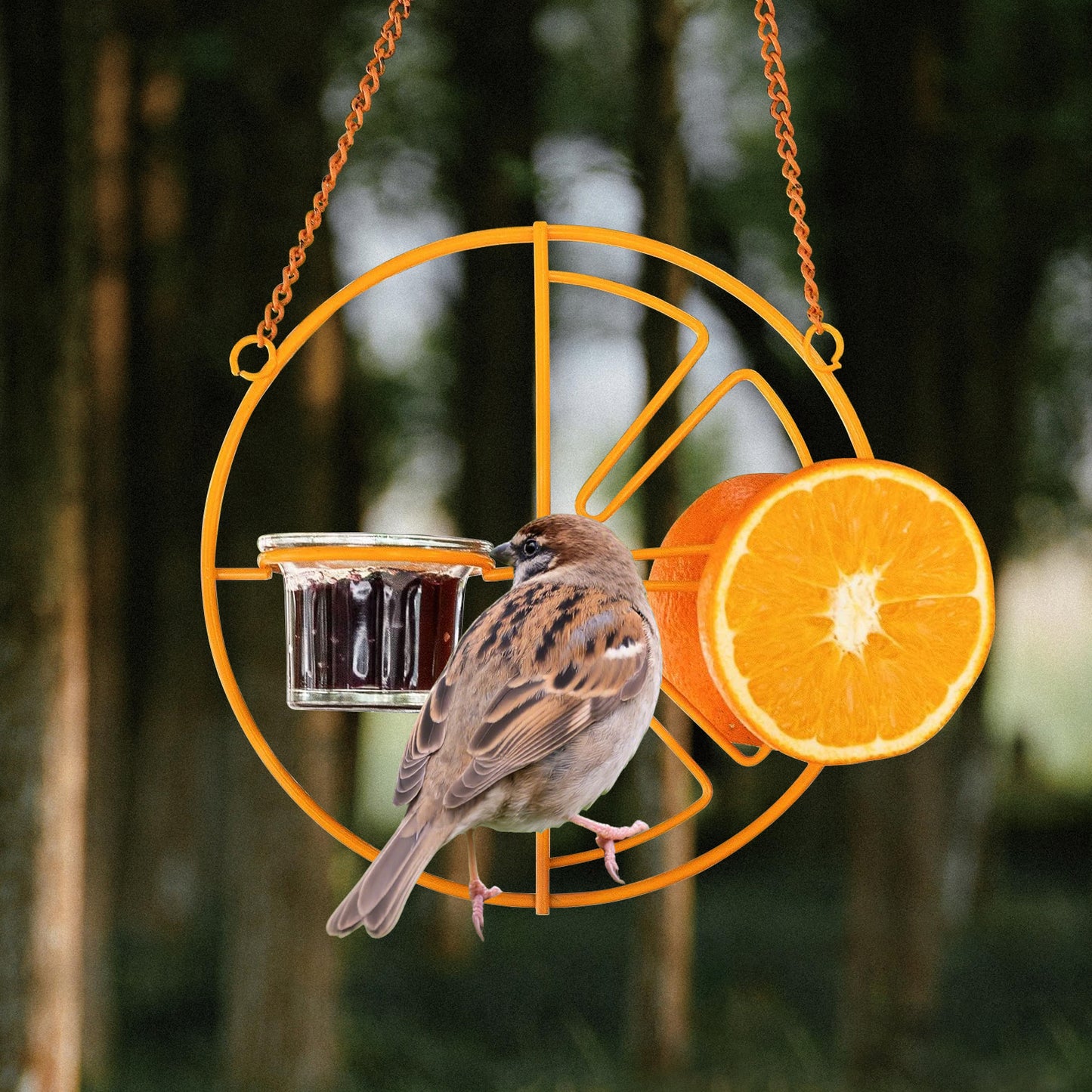 Rywell 2-in-1 Hanging Clementine Oriole & Humming bird Feeder