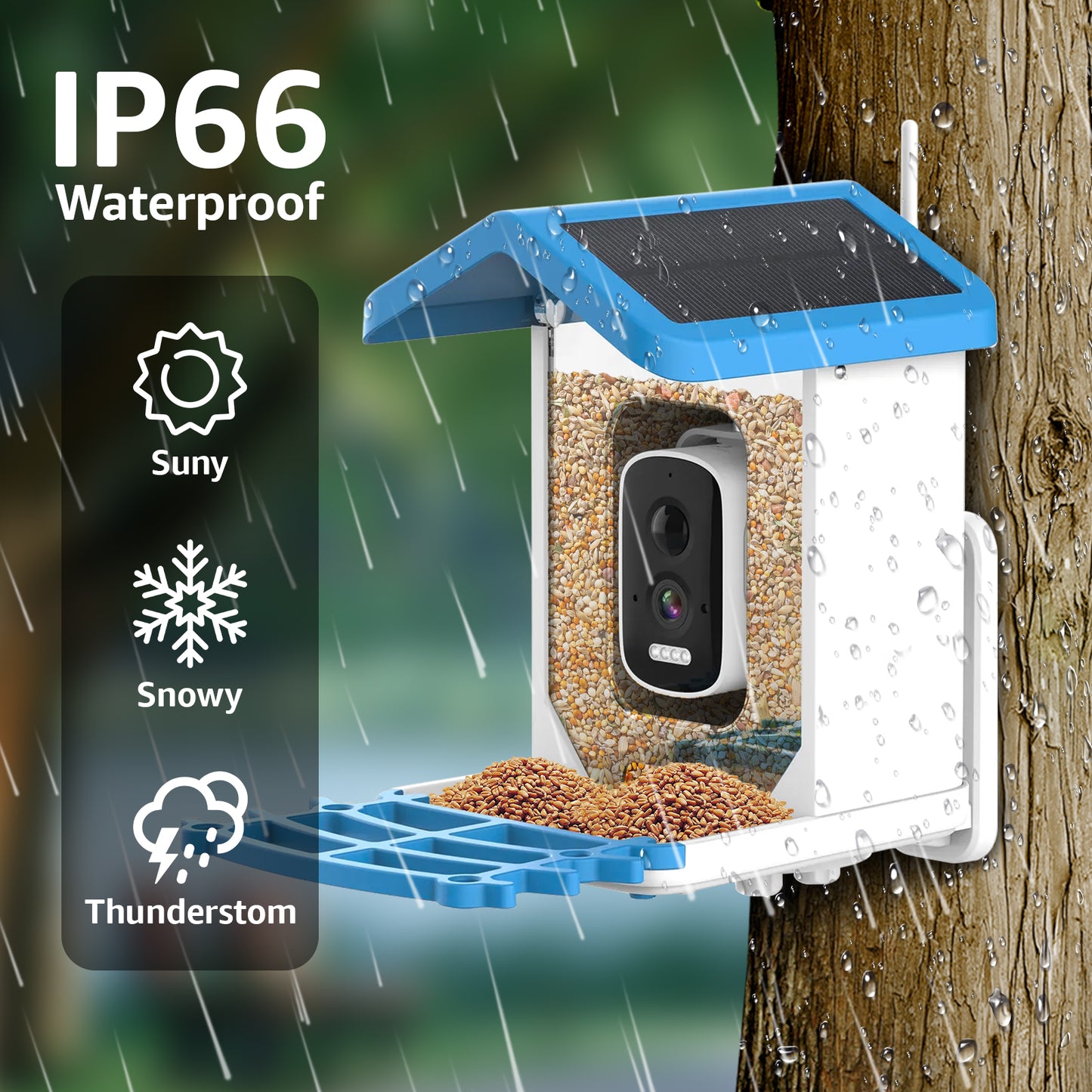 Rywell Smart Bird Feeder with AI Recognition for 11,000+ Bird Species and 5MP Camera