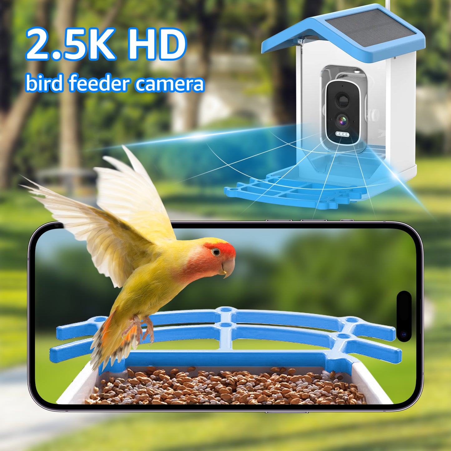 Rywell Smart Bird Feeder with AI Recognition for 11,000+ Bird Species and 5MP Camera