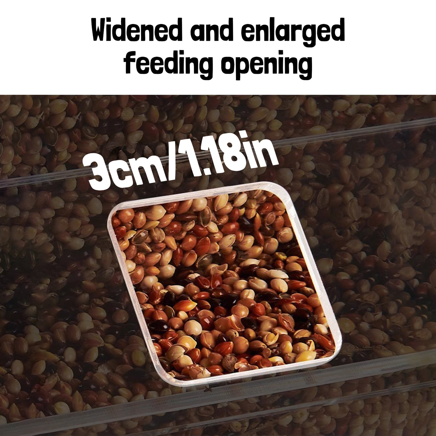 Rywell Parrot Bird Feeder Box – Spill-Proof Automatic Hanging Seed Dispenser for Birds
