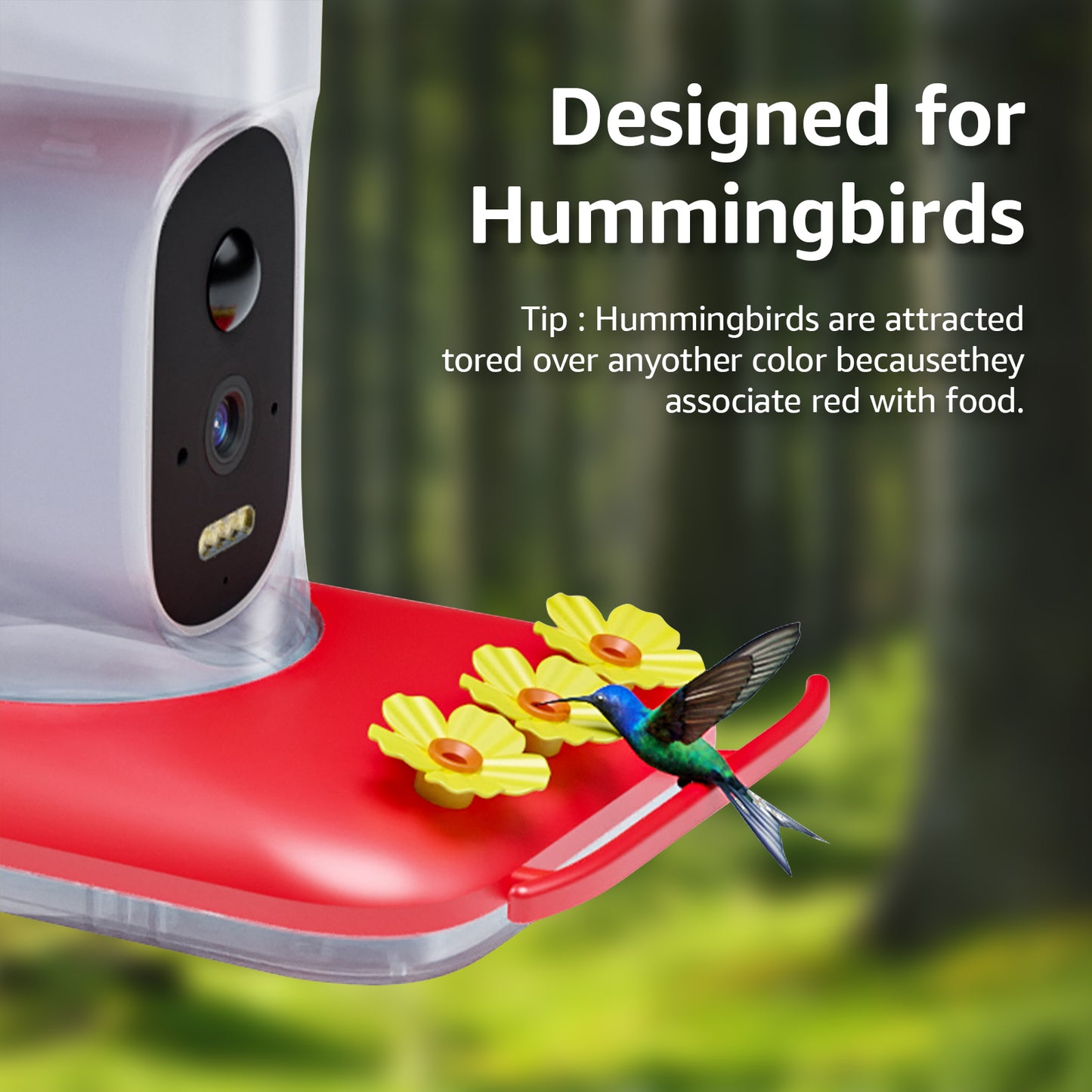 Rywell Smart Solar Hummingbird Feeder with 5MP Camera & AI Bird Detection