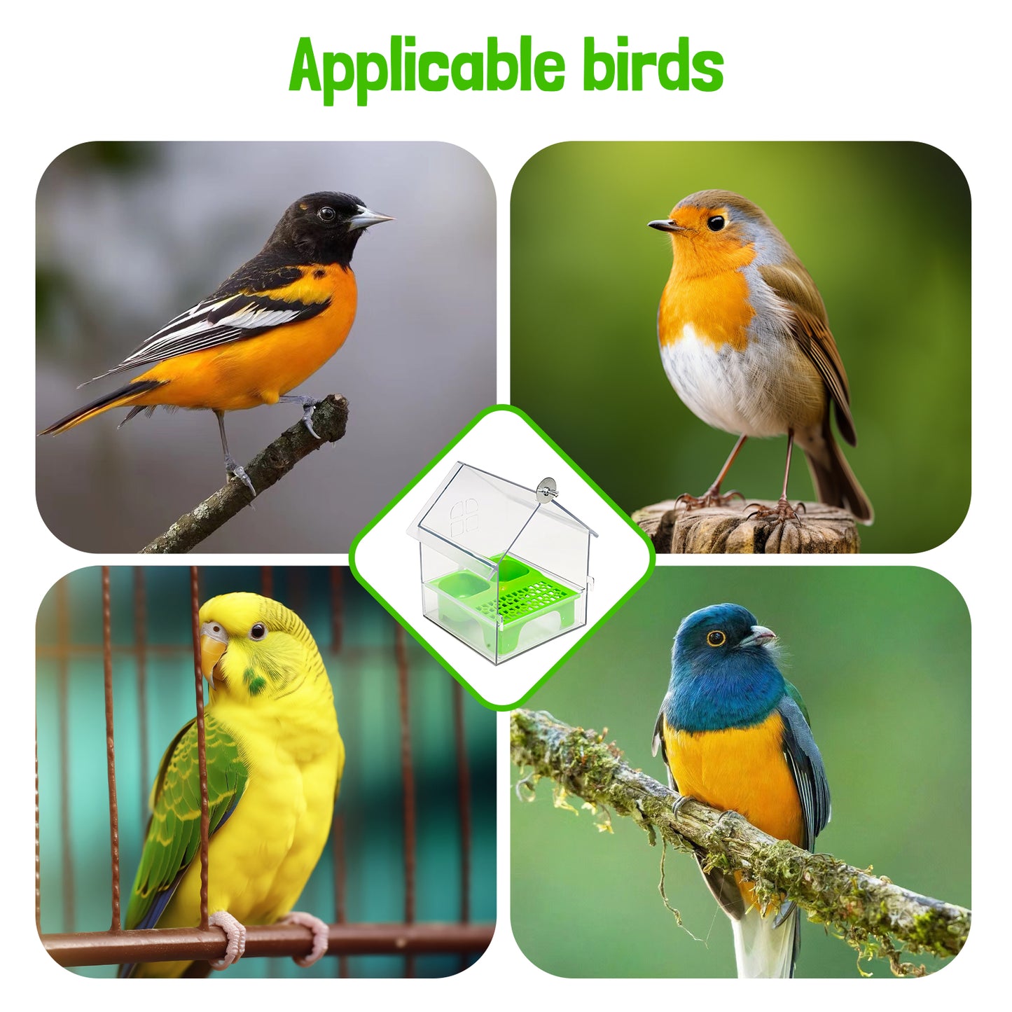 Rywell Hanging Parrot Bird Feeder – Spill-Proof & Splash-Proof Food Dispenser for Budgie, Lovebird, Cockatiel, Sun Conure