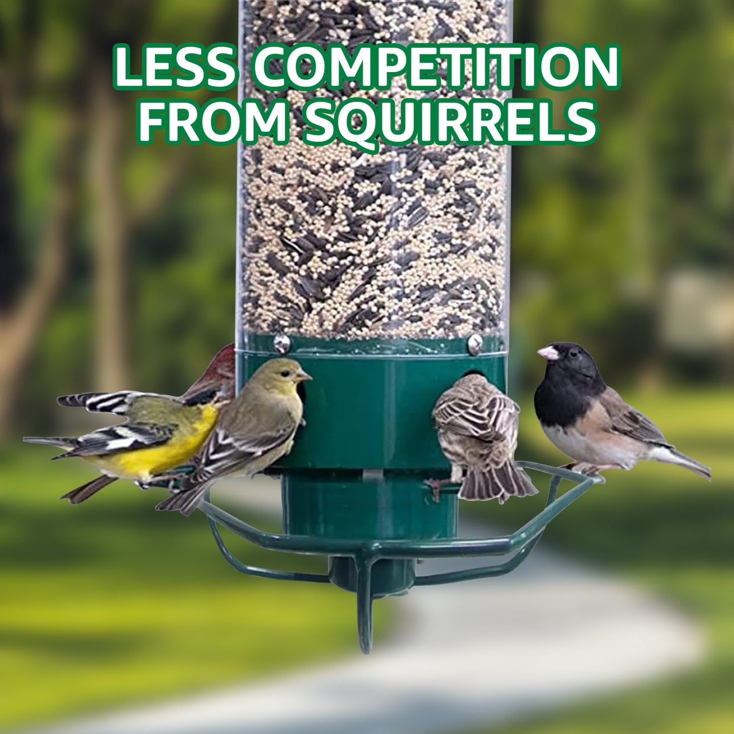 Rywell Weight-Activated Hanging Bird Feeder – Squirrel-Proof, Rotating Wild Bird Feeder for Outdoors