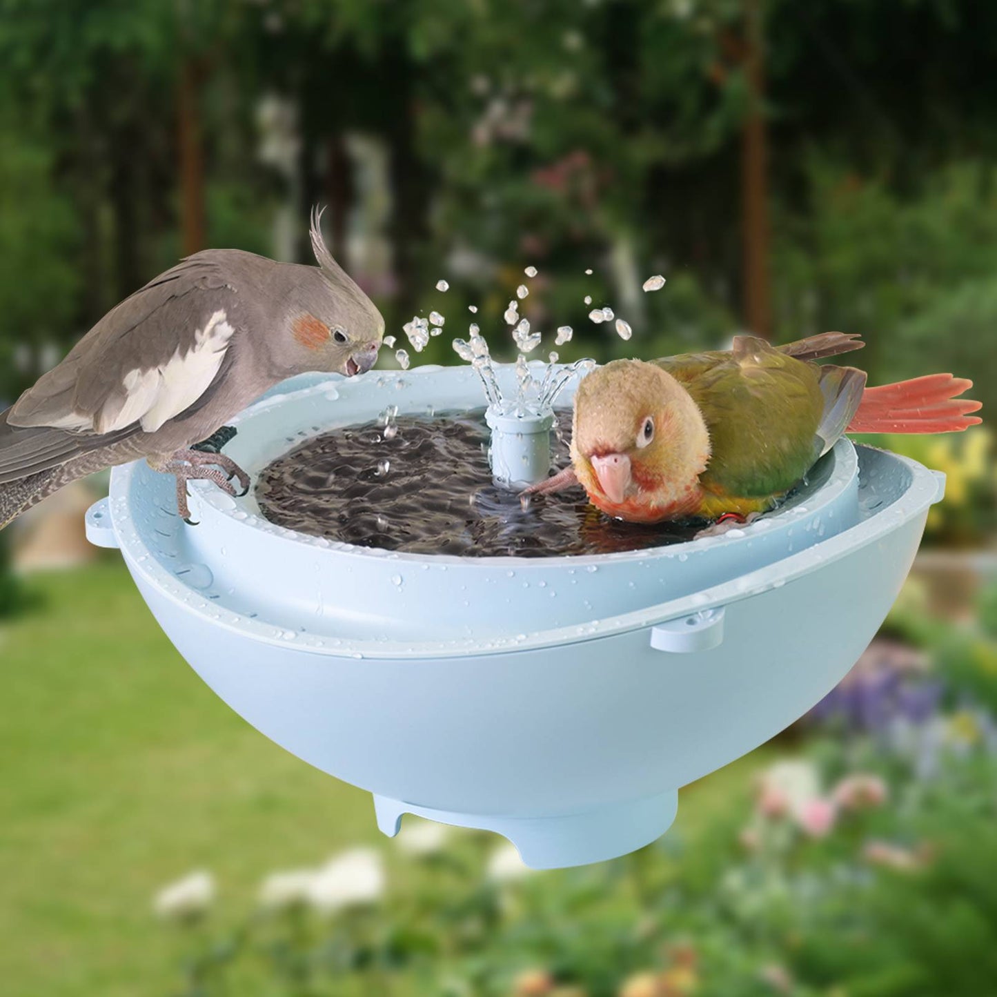 Rywell Solar Birdbath with Automatic Water Recycling & Filtration System