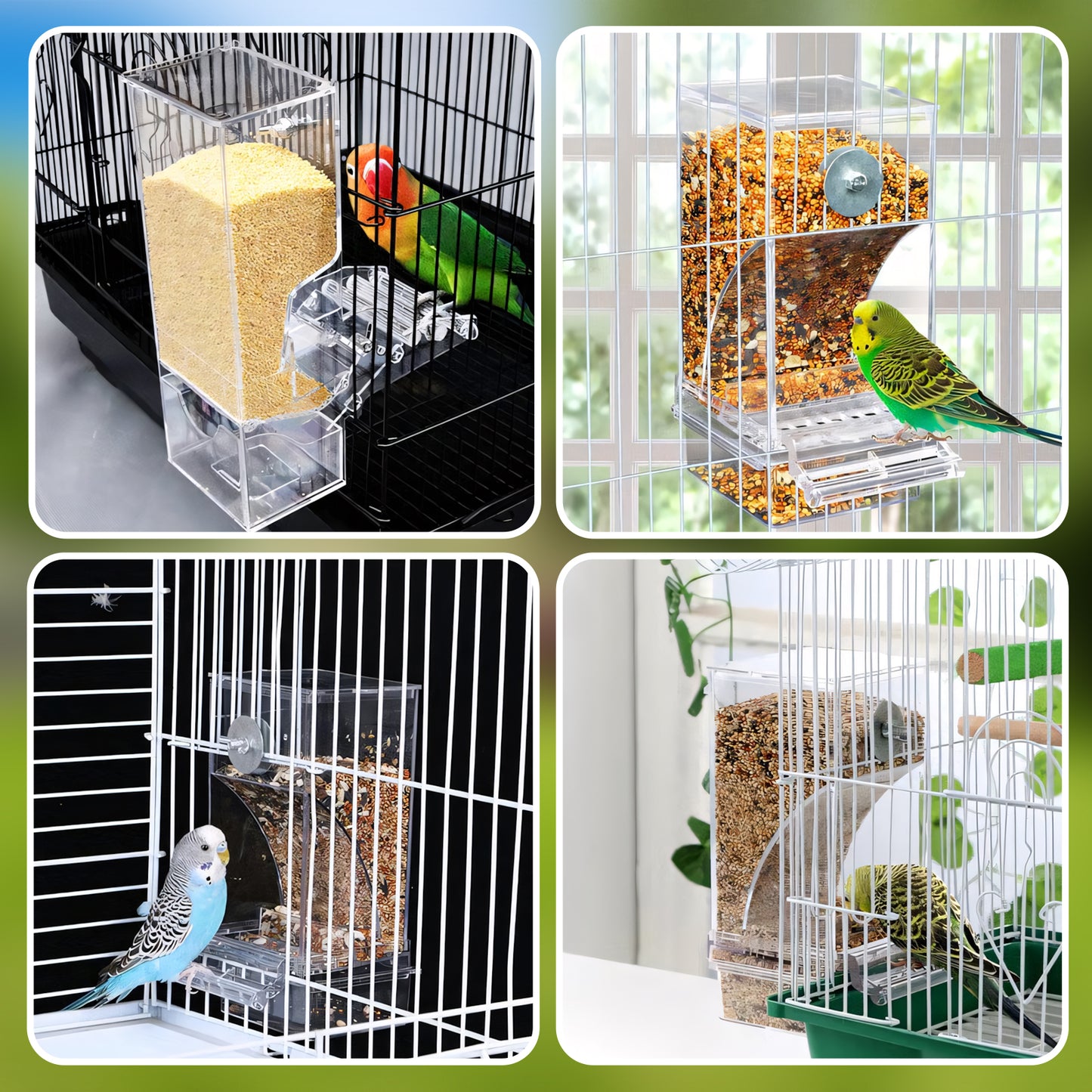Rywell Spill-Proof Automatic Bird Feeder – Large Capacity, Clean, Durable