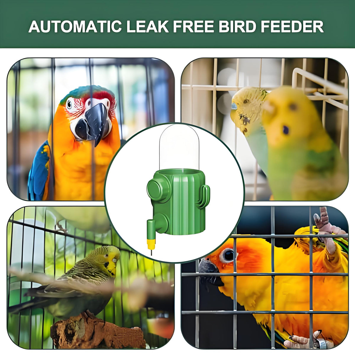 Rywell Bird Cage Water Dispenser - Birds Water Feeder, Bird Water Feeder | Parakeet Drinking Dispenser, Automatic Cactus Waterer Parrot Drinker, Birds Dispenser Supplies for Lovebirds Canary Budgies