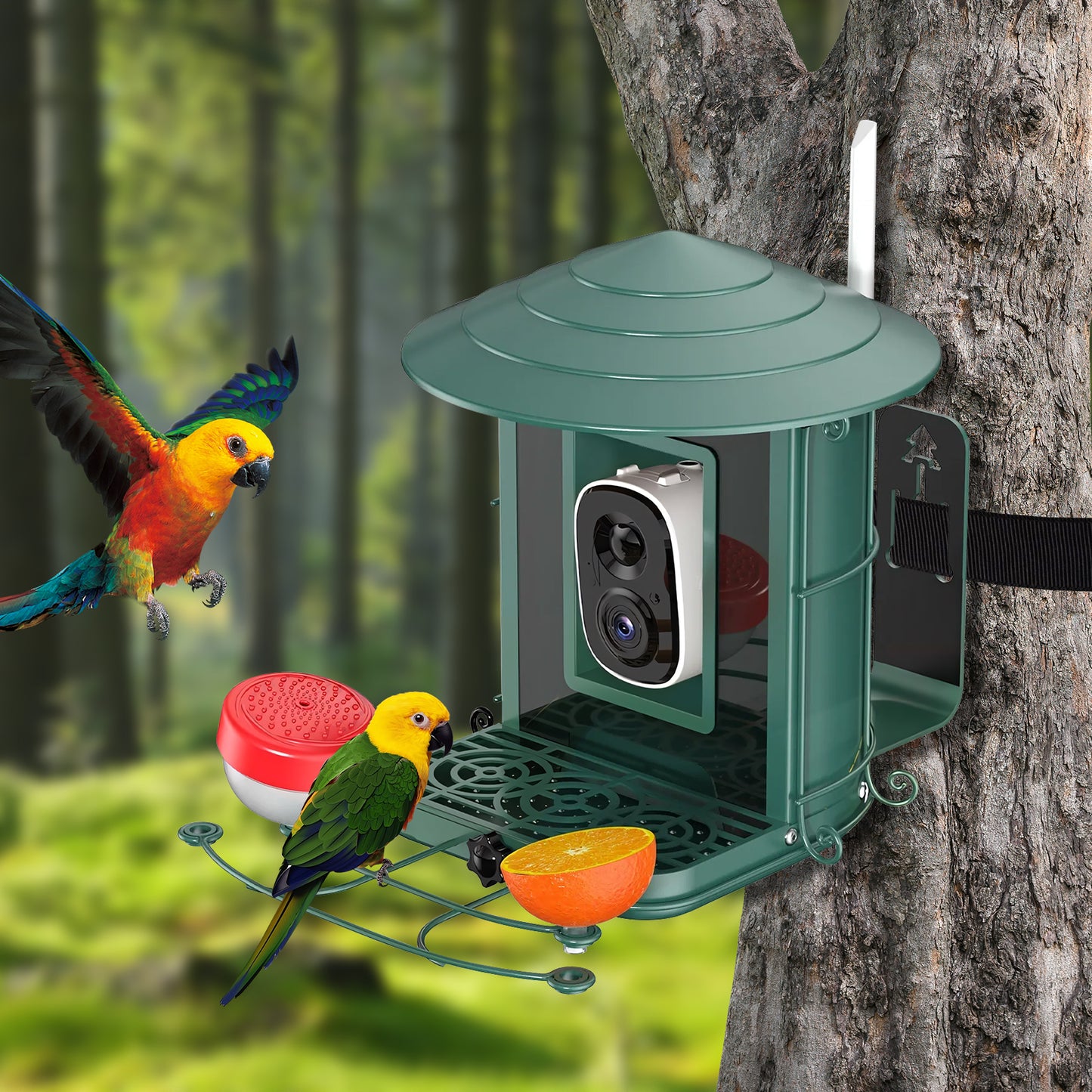 Rywell AI-Powered Solar Smart Bird Feeder – Metal Cage, Portable, Wind & Rain Resistant