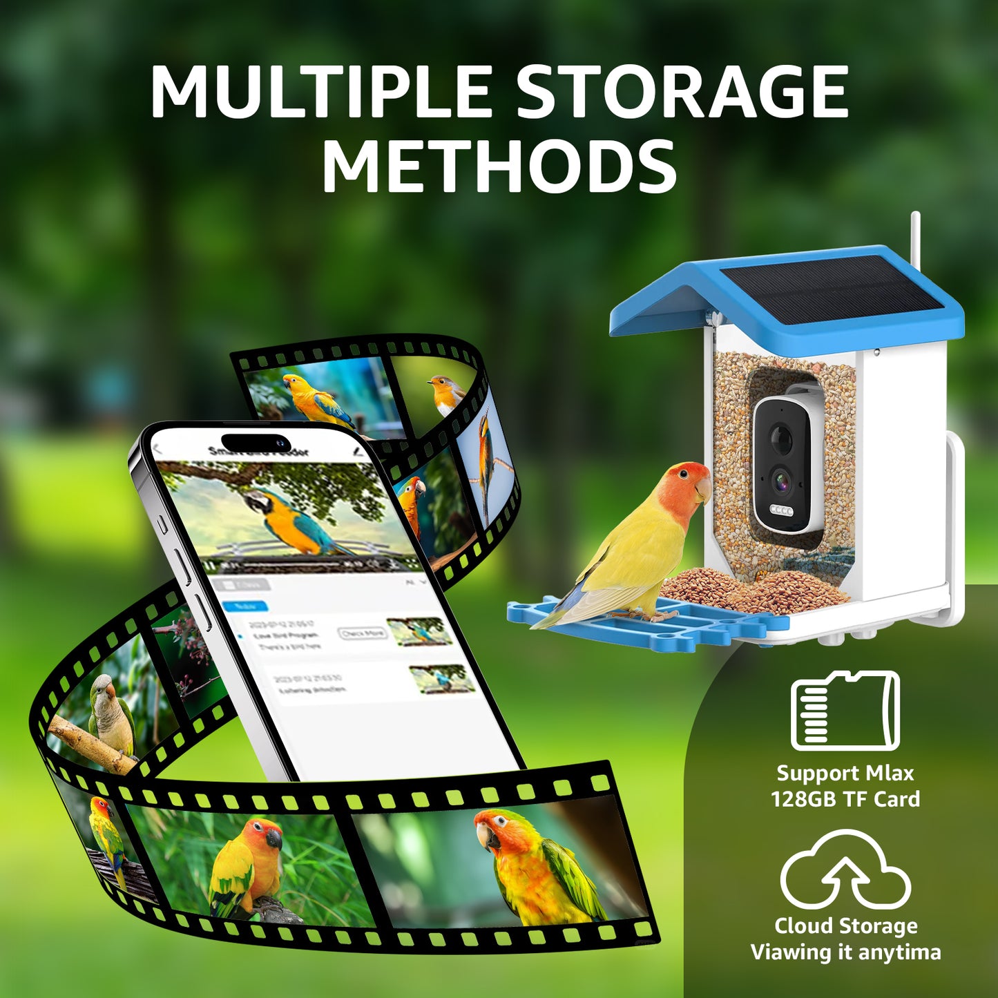 Rywell Smart Bird Feeder with AI Recognition for 11,000+ Bird Species and 5MP Camera