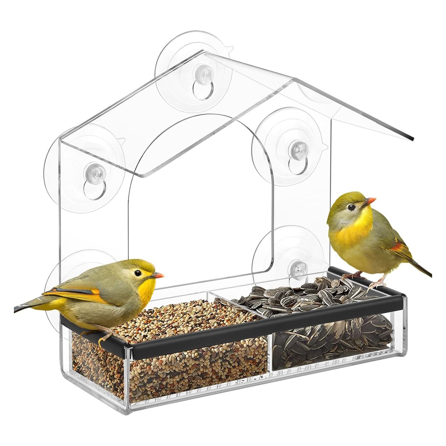 Rywell Clear Acrylic Window Bird Feeder with Strong Suction Cups, Removable Seed Tray & Drainage Holes for Wild Bird Watching
