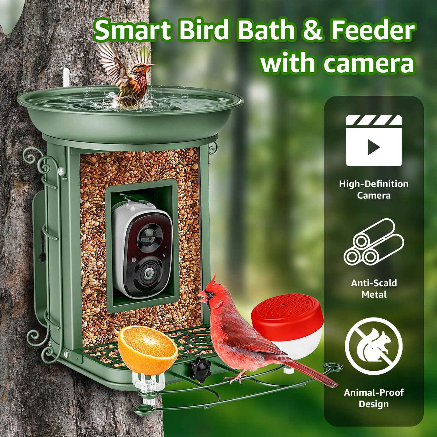 Rywell AI-Powered Solar Smart Bird Feeder – Metal Cage, Portable, Wind & Rain Resistant, with bird bath