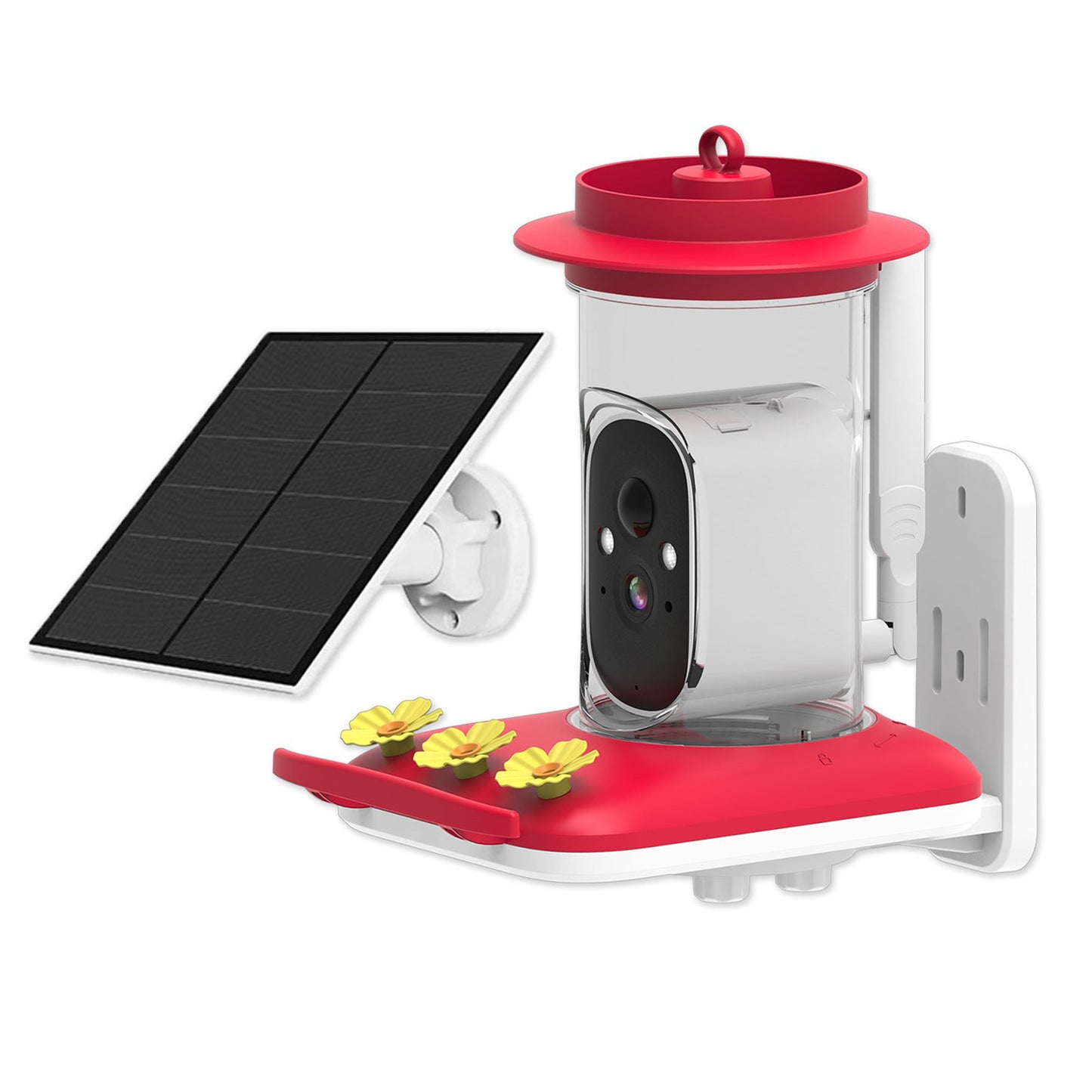 Rywell Smart Solar Hummingbird Feeder with 5MP Camera & AI Bird Detection