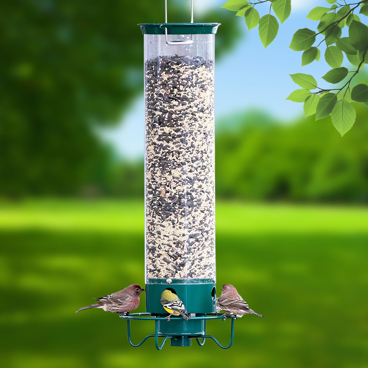 Rywell Weight-Activated Hanging Bird Feeder – Squirrel-Proof, Rotating Wild Bird Feeder for Outdoors