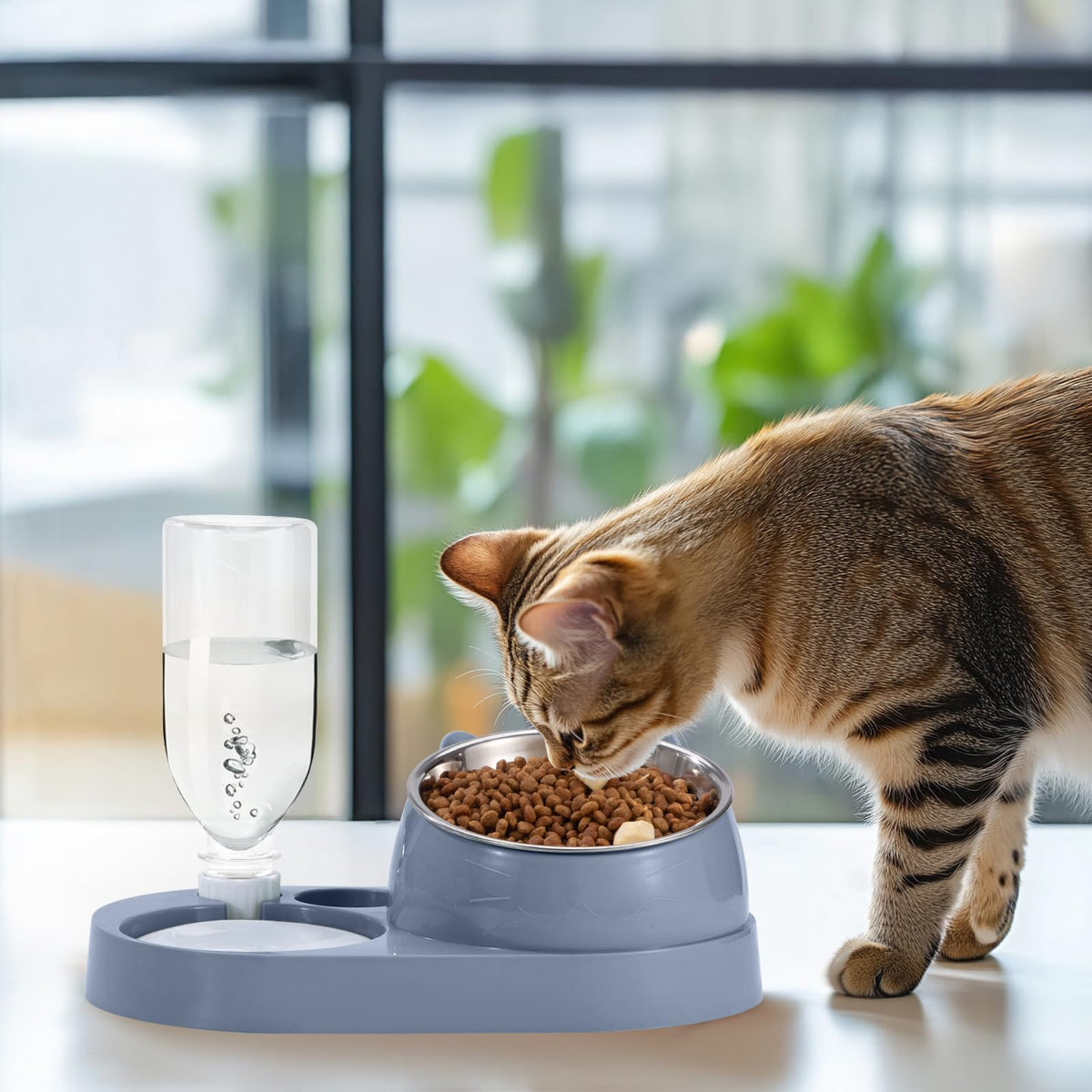 Rywell 2-in-1 Raised Cat Bowl Set with Gravity Water Dispenser, 15° Tilted Elevated Pet Feeder for Cats & Dogs, Anti-Spill Neck Protection Feeding Station