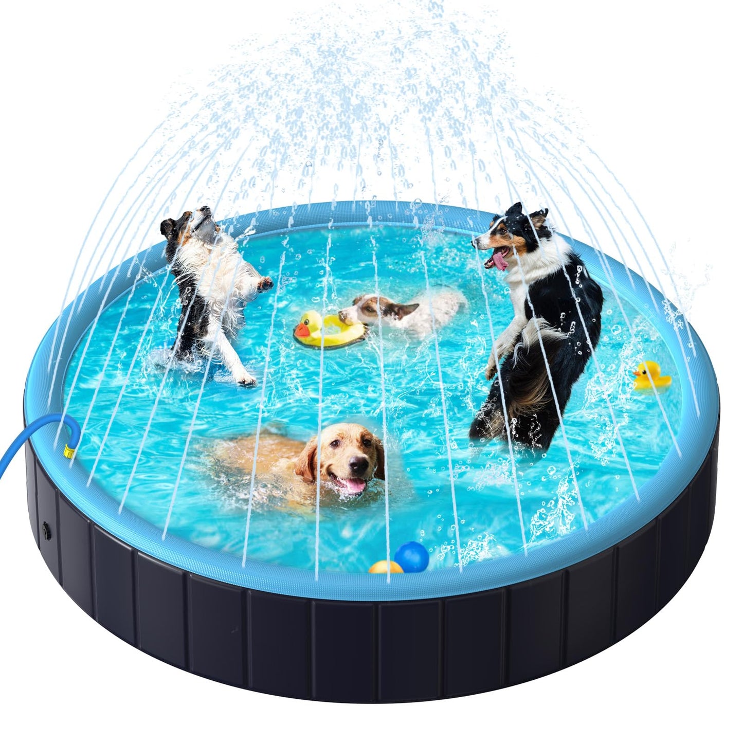 Rywell Dog Pool for Large Dogs, Foldable Pet Wading Pool with Splash Sprinkler, Outdoor Summer Bathtub Heavy Duty for Puppy, Doggie, Cats, Duck -Blue -63 x 12 Inches