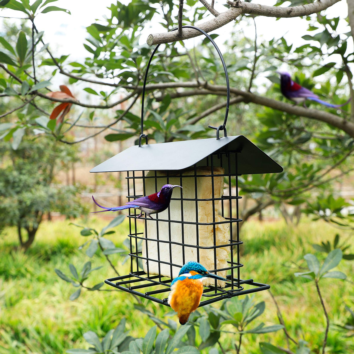 Rywell Squirrel Proof Suet Feeder, Heavy-Duty Metal Hanging Bird Feeder for Outside, Weatherproof Suet Cage for Woodpeckers & Wild Birds, Garden Suet Cake Holder