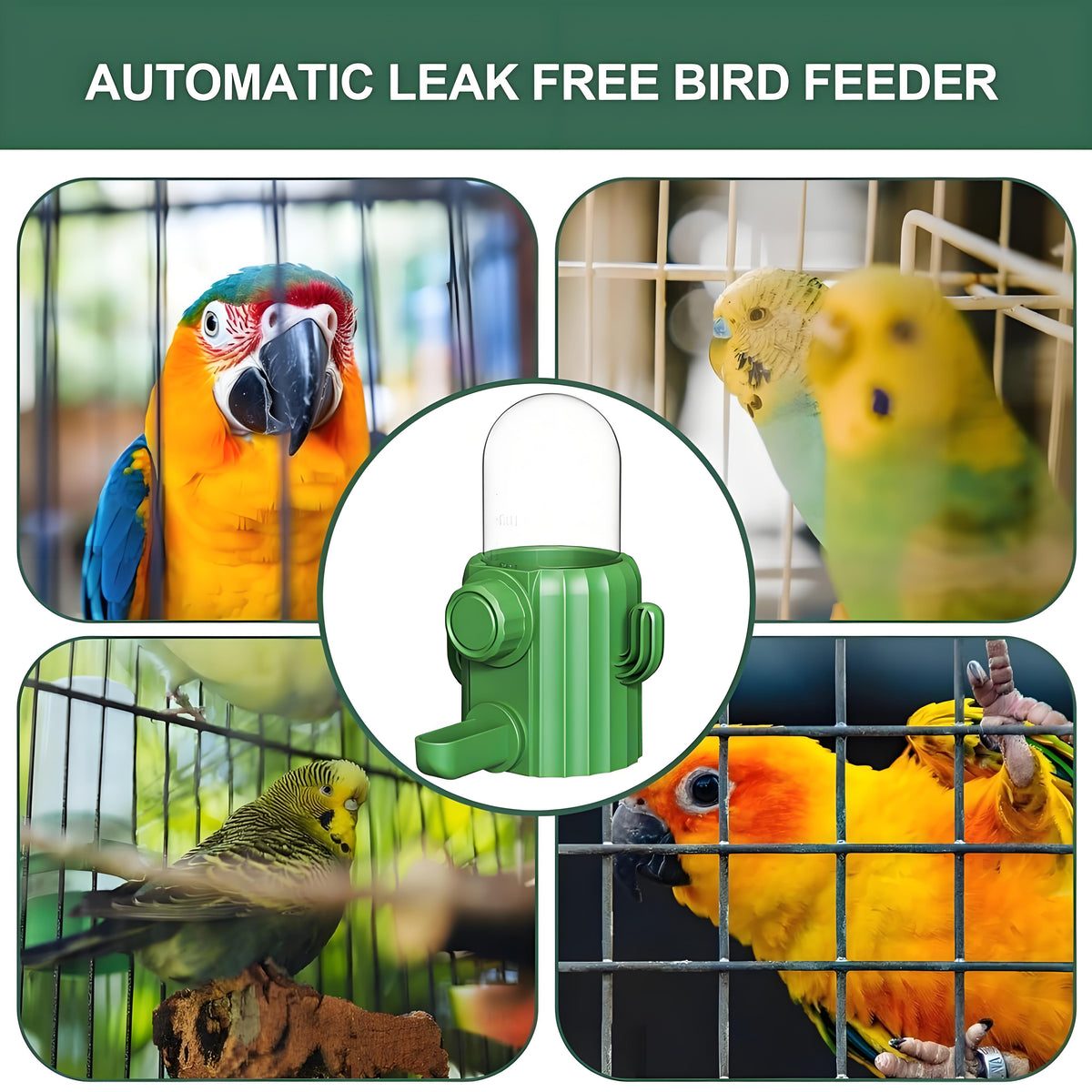 Rywell Bird Water Dispenser - Parakeet Water Dispenser, Automatic Cactus Dispenser Parrot Water Feeder | Parakeet Drinker Bird Cage Accessories, Waterer Feeding Supplies for Cockatiel Lovebirds Canary
