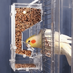Rywell Parrot Bird Feeder Box – Spill-Proof Automatic Hanging Seed Dispenser for Birds