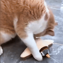 Rywell Rechargeable Flapping Bird Cat Toy – Touch-Activated, Chirps & Flaps Like a Real Sandpiper with Catnip