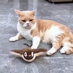 Rywell Rechargeable Flapping Bird Cat Toy – Touch-Activated, Chirps & Flaps Like a Real Sandpiper with Catnip