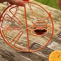 Rywell 2-in-1 Hanging Clementine Oriole & Humming bird Feeder