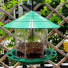 Rywell Durable Window Bird Hanging Feeder