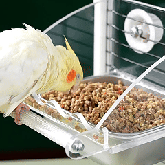 Rywell Acrylic No-Mess Bird Feeder with Perch – Automatic Seed Catcher for Parrots & Parakeets