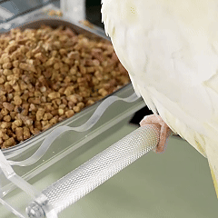Rywell Acrylic No-Mess Bird Feeder with Perch – Automatic Seed Catcher for Parrots & Parakeets