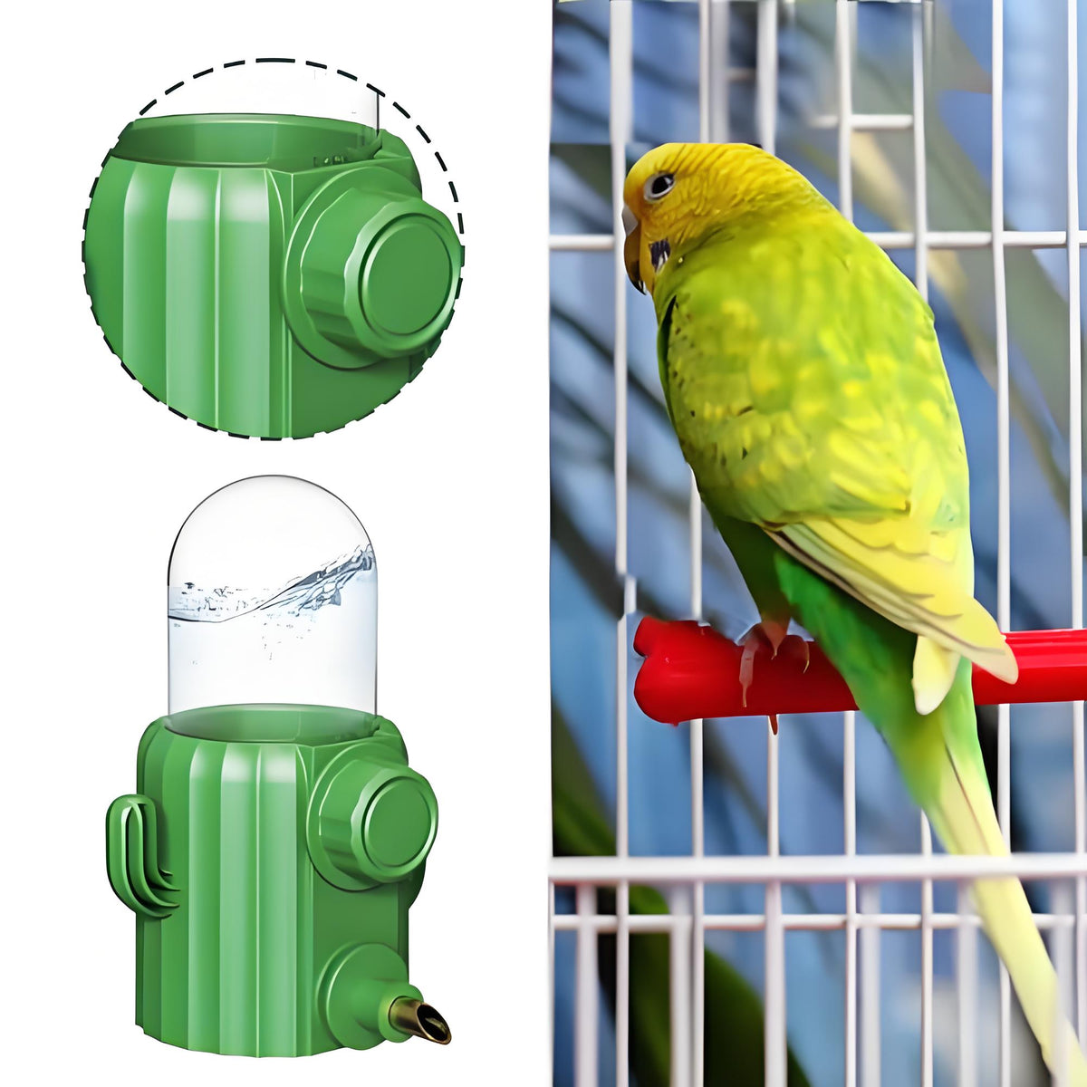 Rywell Bird Cage Water Dispenser - Birds Water Feeder, Bird Water Feeder | Parakeet Drinking Dispenser, Automatic Cactus Waterer Parrot Drinker, Birds Dispenser Supplies for Lovebirds Canary Budgies