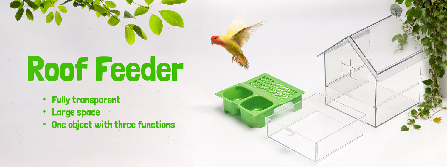 Smart Bird Feeder and Bath Station
