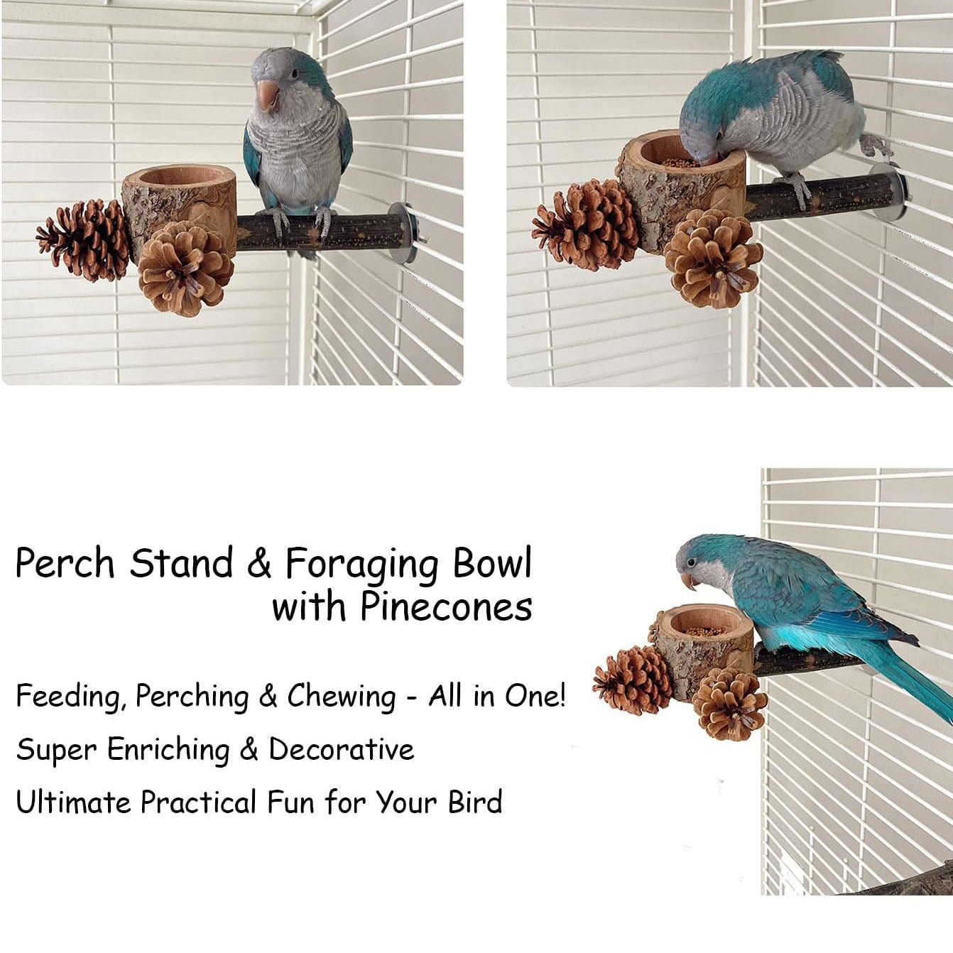 Rywell Bird Perch with Safe Bowl & Pinecones — 100% Natural Wooden Chew Toy for Cockatiels, Conures, Budgies, Lovebirds & Parakeets, Foraging & Oral Health Birdcage Accessory