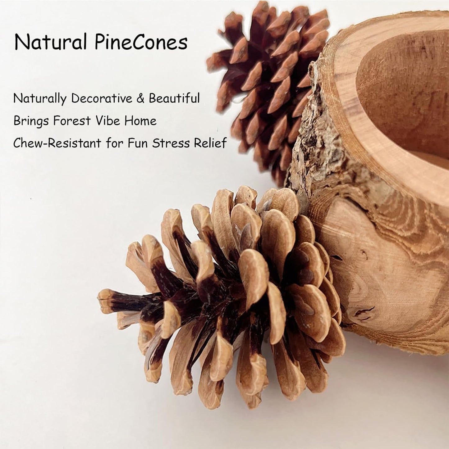 Rywell Bird Perch with Safe Bowl & Pinecones — 100% Natural Wooden Chew Toy for Cockatiels, Conures, Budgies, Lovebirds & Parakeets, Foraging & Oral Health Birdcage Accessory