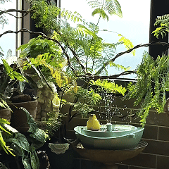 Bagno solare per uccelli Rywell con sistema automatico di riciclo e filtraggio dell'acqua