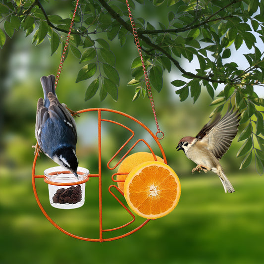 Rywell 2-in-1 Hanging Clementine Oriole & Humming bird Feeder