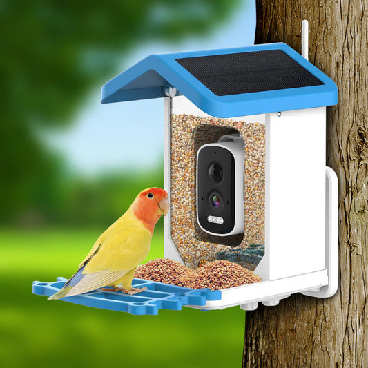 Rywell Smart Bird Feeder with AI Recognition for 11,000+ Bird Species and 5MP Camera