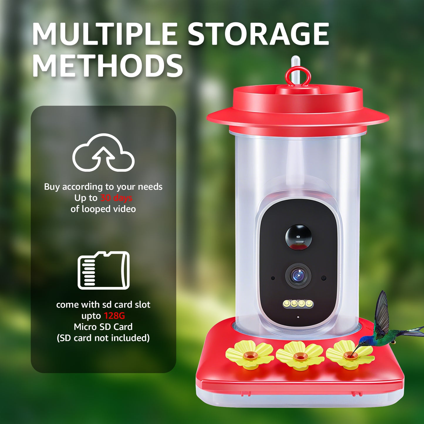 Rywell Smart Solar Hummingbird Feeder with 5MP Camera & AI Bird Detection