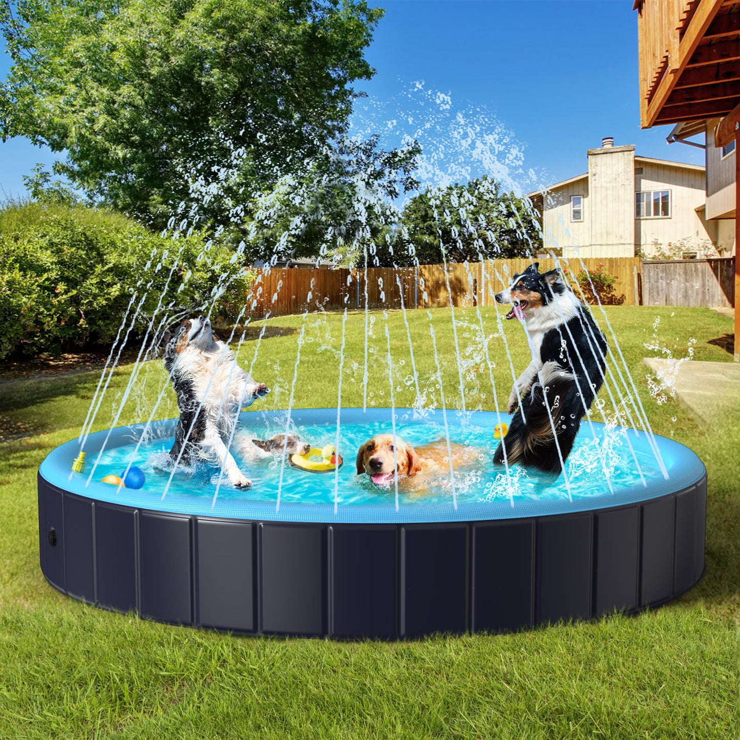 Rywell Dog Pool for Large Dogs, Foldable Pet Wading Pool with Splash Sprinkler, Outdoor Summer Bathtub Heavy Duty for Puppy, Doggie, Cats, Duck -Blue -63 x 12 Inches