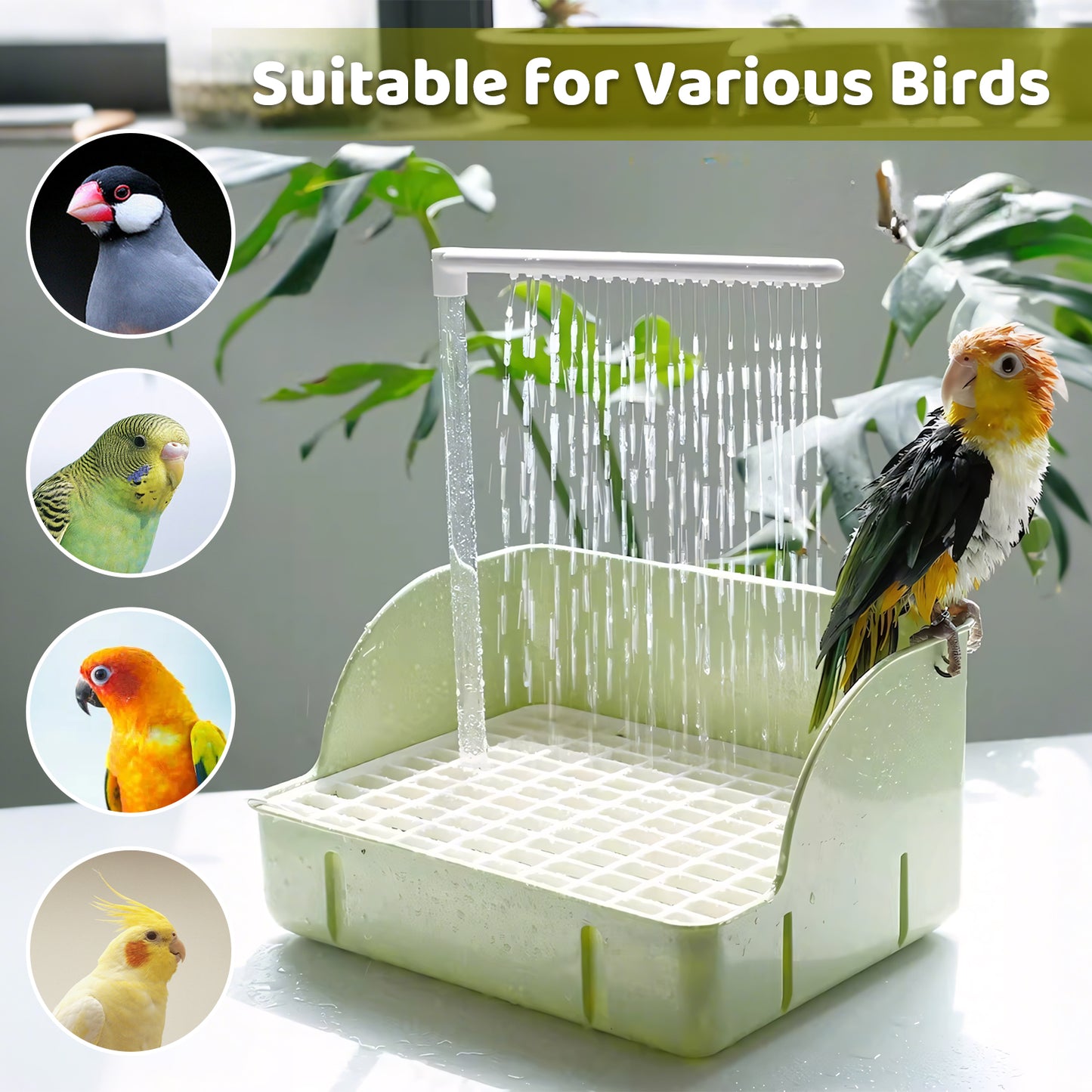 Rywell Automatic Parakeet Bird Bath with Pump, Large Bird Shower Fountain Indoor Bathtub with Running Water, Parrot Bath Tub Faucet for Pet Birds, African Grey, Cockatiel, Conure, Budgie, Lovebird