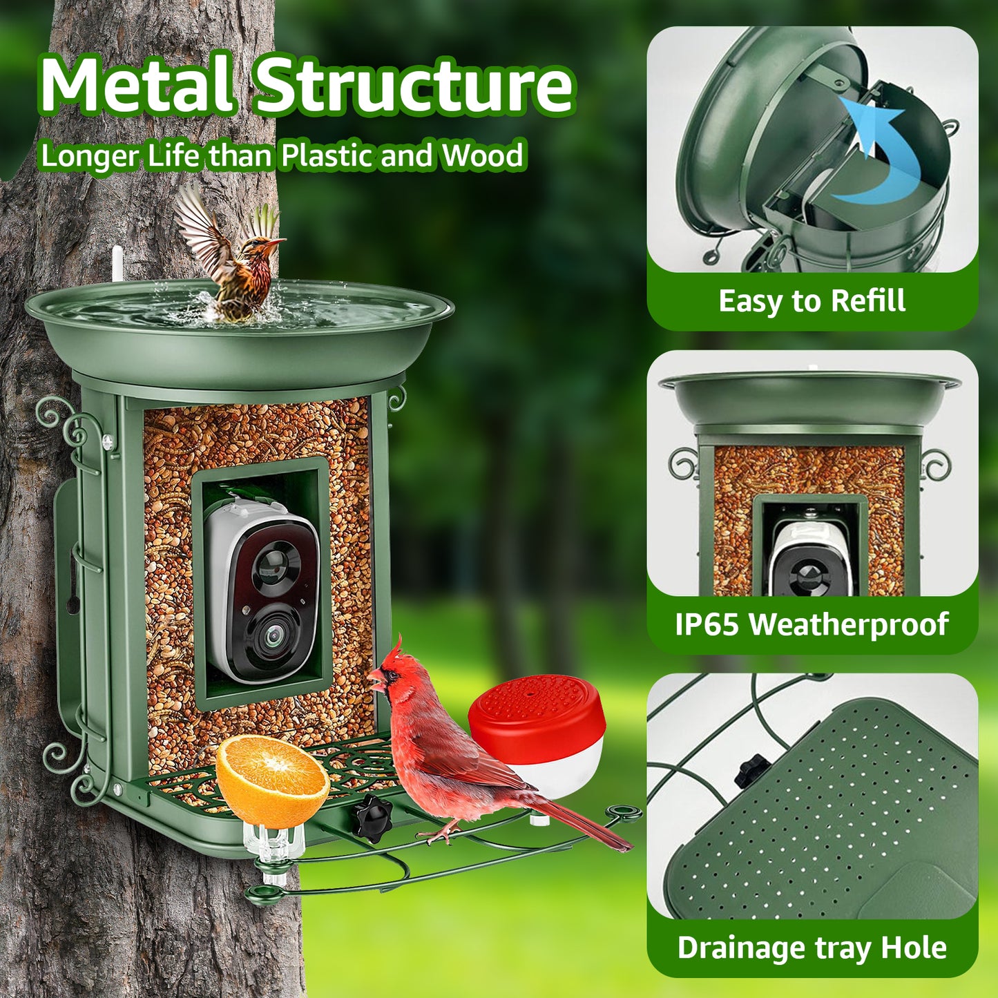 Rywell AI-Powered Solar Smart Bird Feeder – Metal Cage, Portable, Wind & Rain Resistant, with bird bath