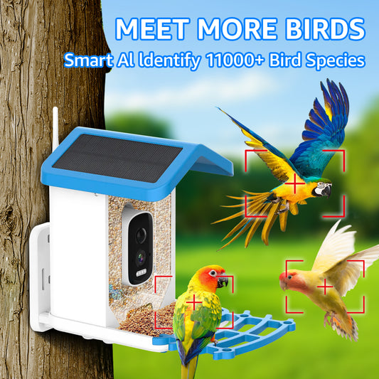 Rywell Smart Bird Feeder with AI Recognition for 11,000+ Bird Species and 5MP Camera