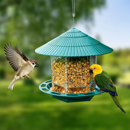 Rywell Durable Window Bird Hanging Feeder