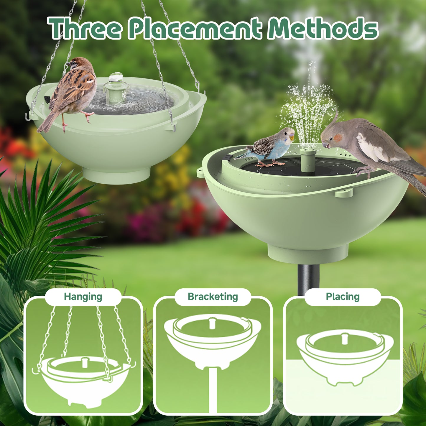 Bagno solare per uccelli Rywell con sistema automatico di riciclo e filtraggio dell'acqua