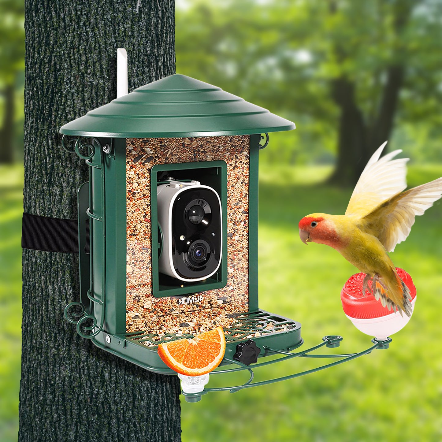 Rywell AI-Powered Solar Smart Bird Feeder – Metal Cage, Portable, Wind & Rain Resistant